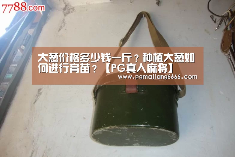 PG真人麻将