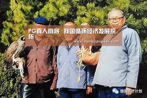 PG真人麻将-我国循环经济发展探析(图2) PG棋牌