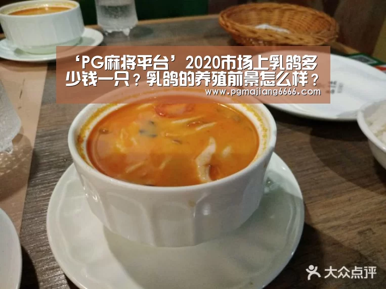 ‘PG麻将平台’2020市场上乳鸽多少钱一只?乳鸽的养殖前景怎么样?(图2) PG棋牌