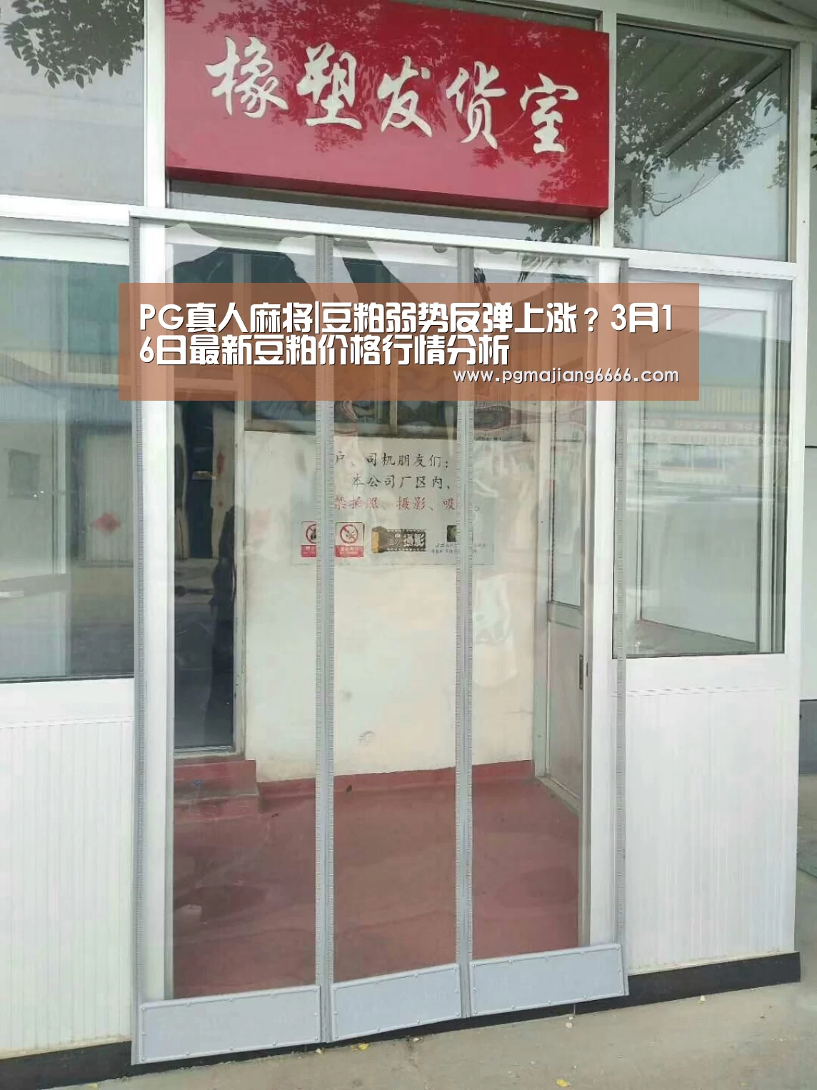 PG真人麻将|豆粕弱势反弹上涨?3月16日最新豆粕价格行情分析(图2) PG电子娱乐