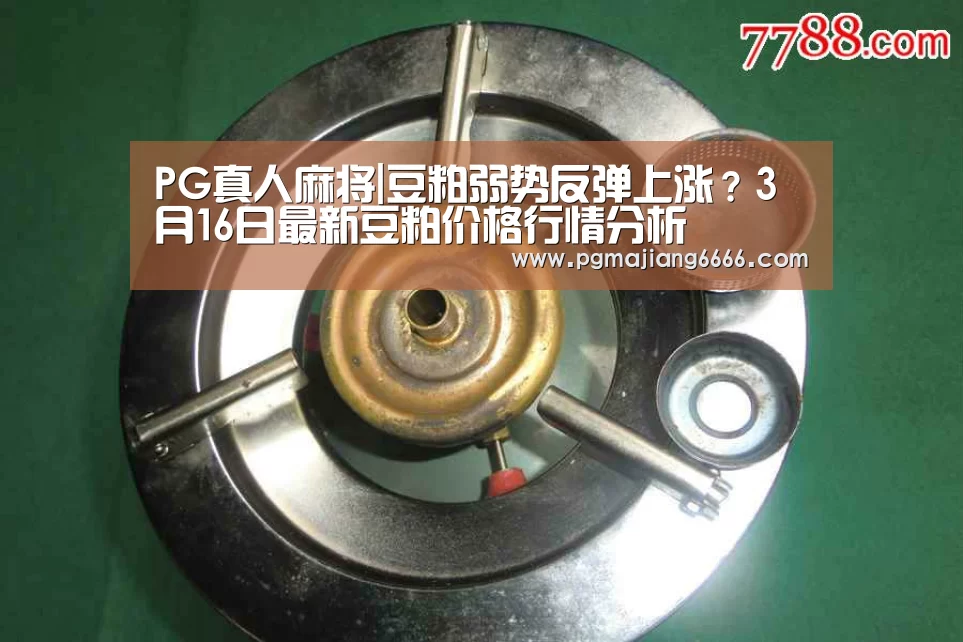 PG真人麻将|豆粕弱势反弹上涨?3月16日最新豆粕价格行情分析(图1) PG棋牌