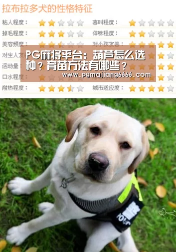 PG麻将平台:葫芦怎么选种?育苗方法有哪些?(图3) PG电子娱乐